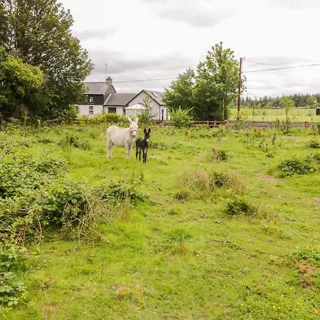 Tom & Mary's Place Дом отдыха Ballygar